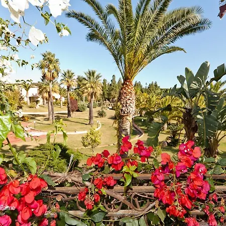 Baia Delle Palme *